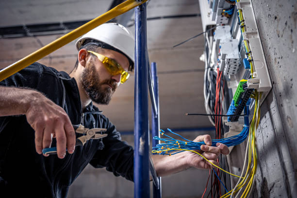 Best Electric Panel Repair  in Ellijay, GA