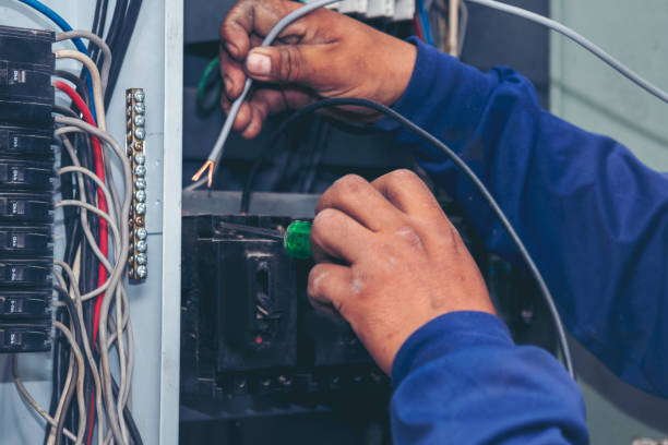 Best Home Electrical Repair  in Ellijay, GA